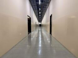 Bendemeer Road (D12), Factory #638525051